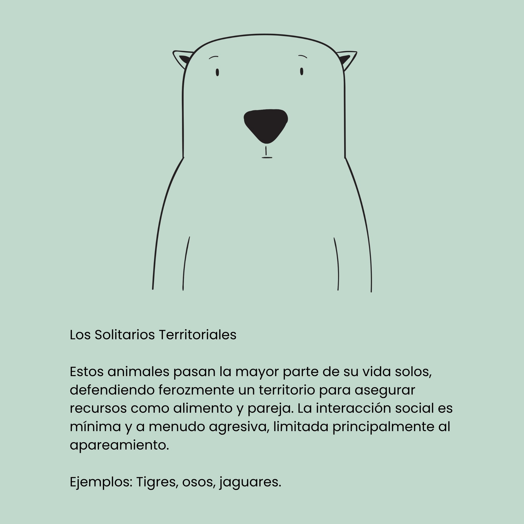 Buena, animal! (ESP)