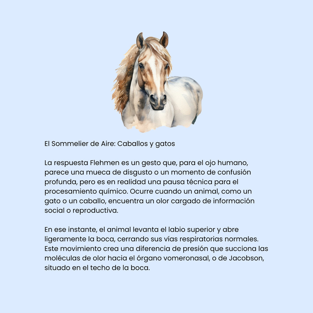 Cortocircuitos de la Felicidad (ESP)