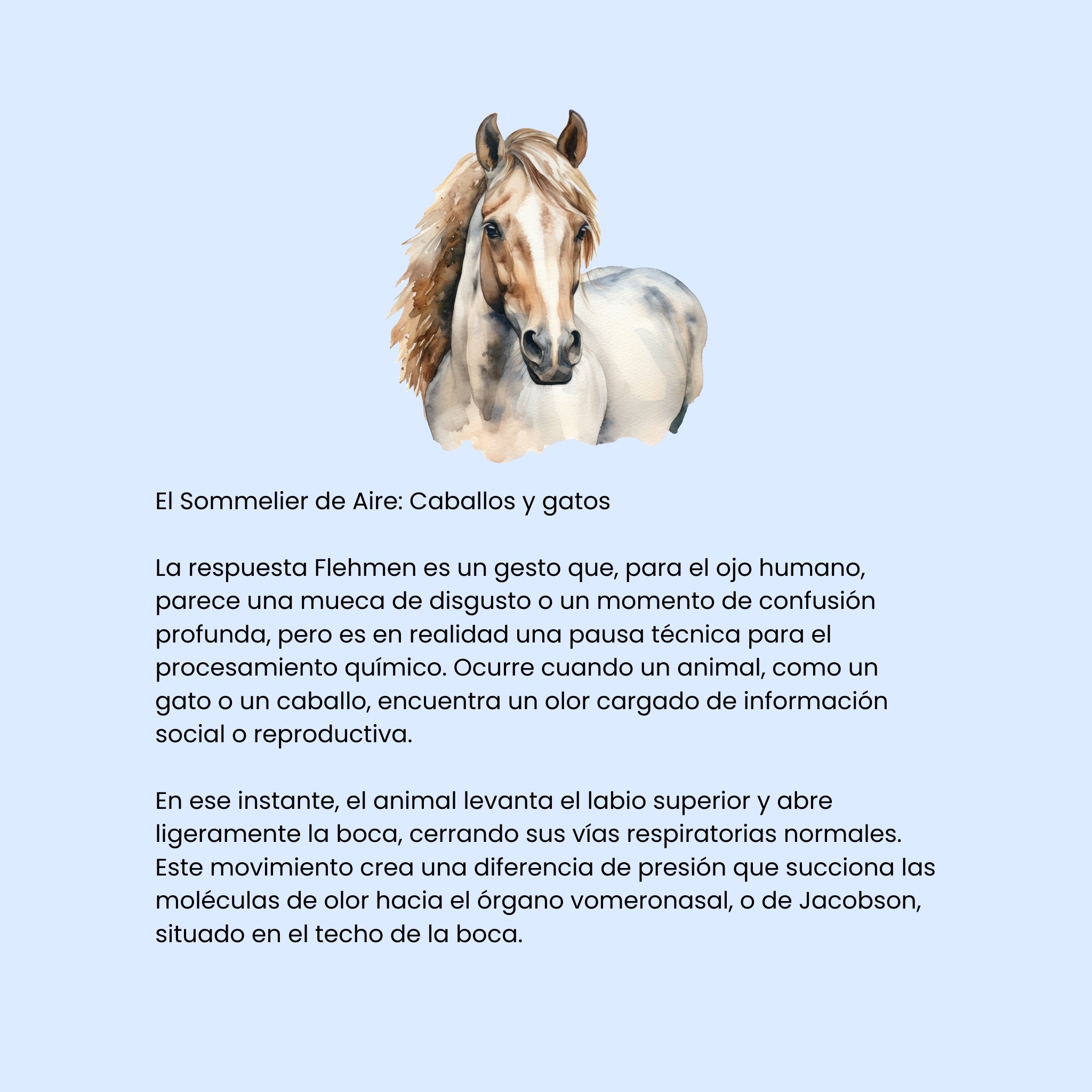Cortocircuitos de la Felicidad (ESP)