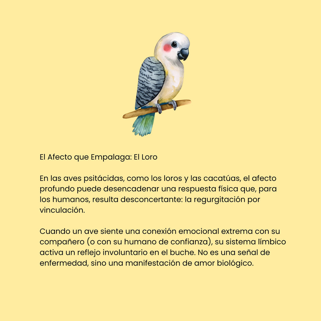 Cortocircuitos de la Felicidad (ESP)