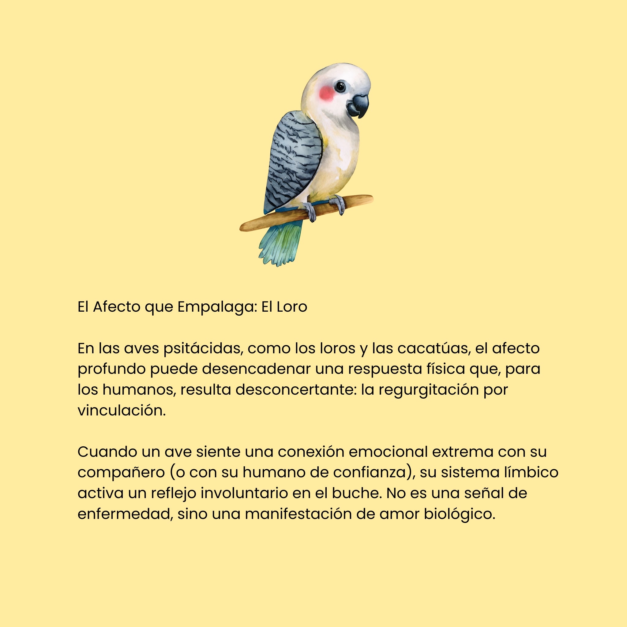 Cortocircuitos de la Felicidad (ESP)