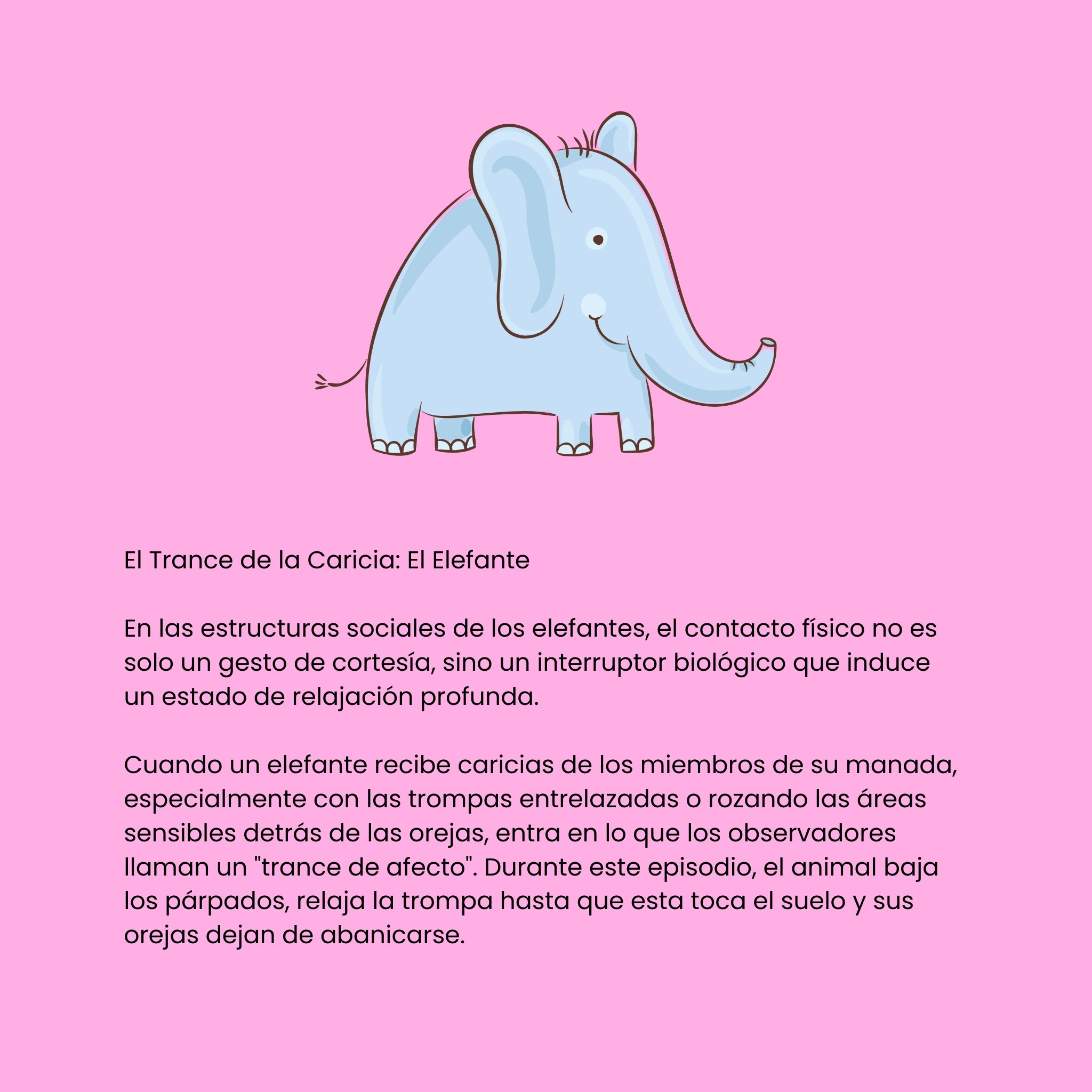 Cortocircuitos de la Felicidad (ESP)