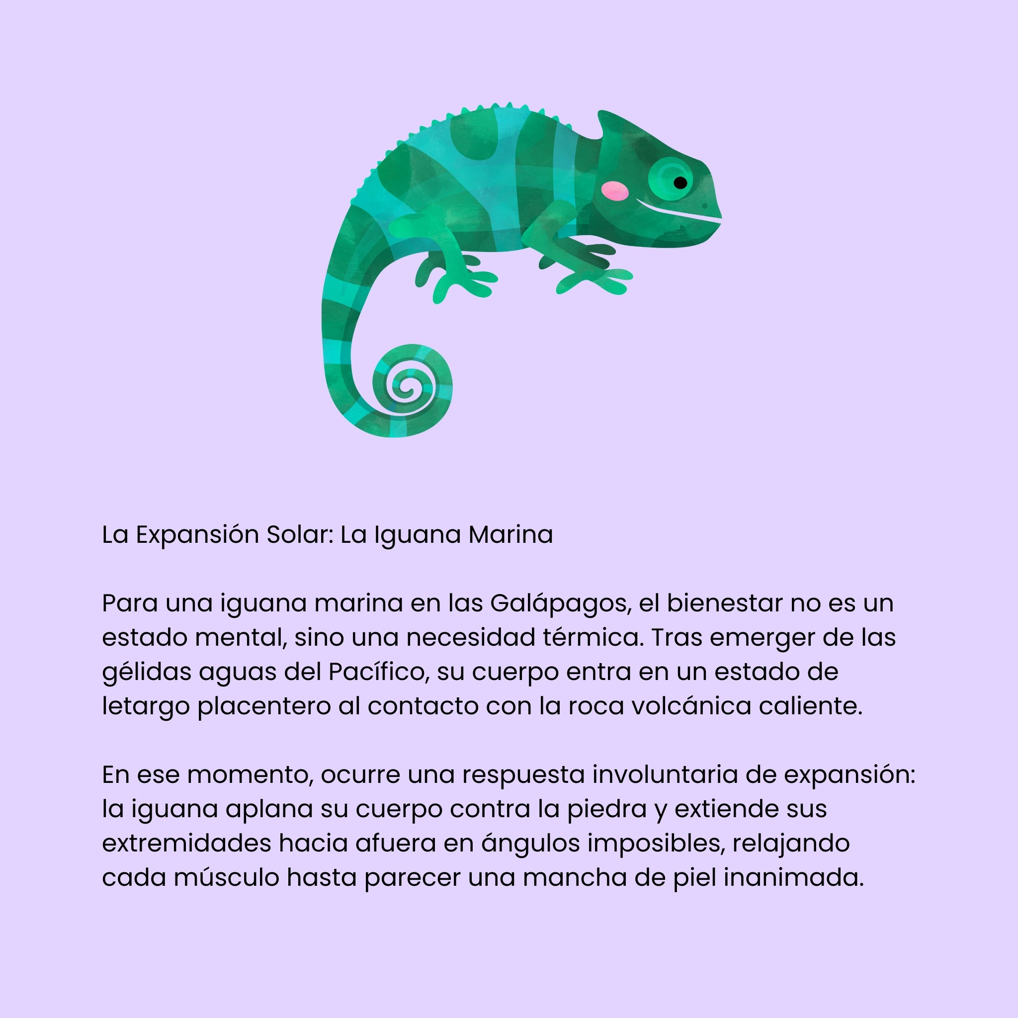 Cortocircuitos de la Felicidad (ESP)