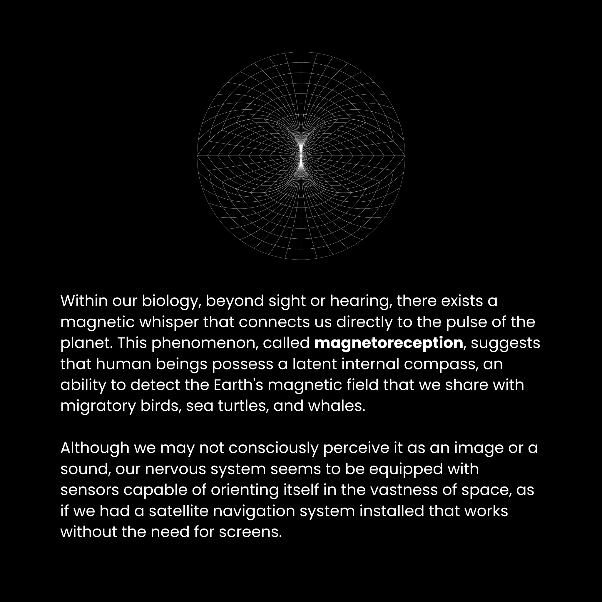 Human Effects (ENG)
