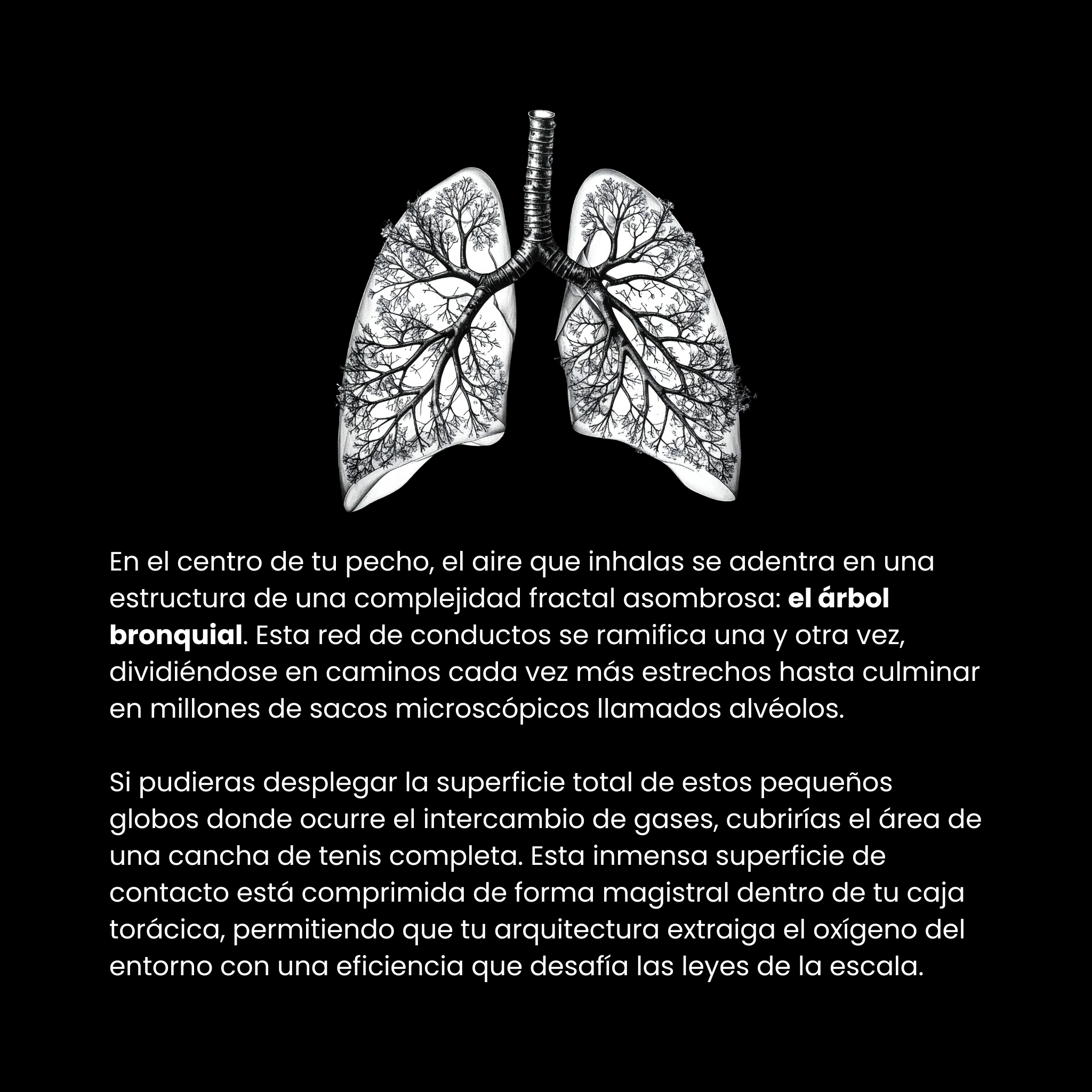 Efectos Humanos (ESP)