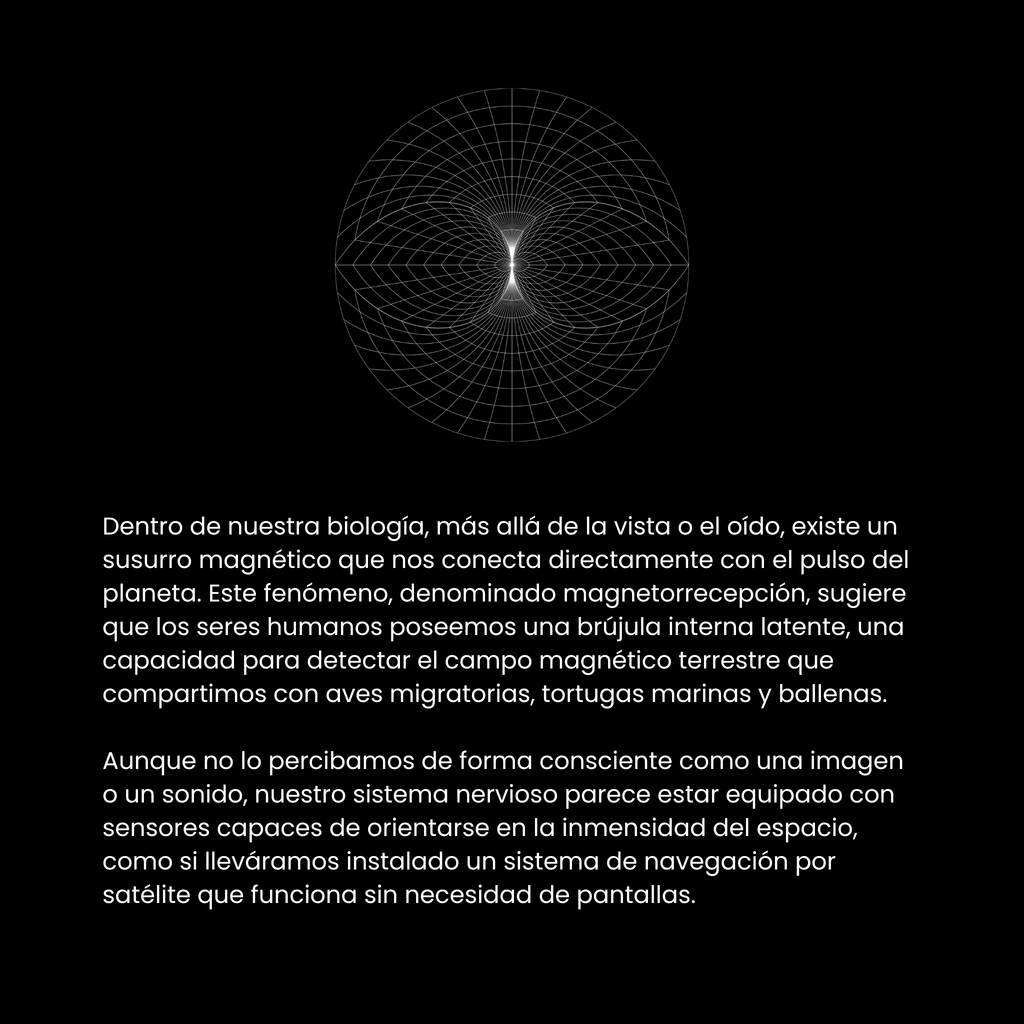 Efectos Humanos (ESP)
